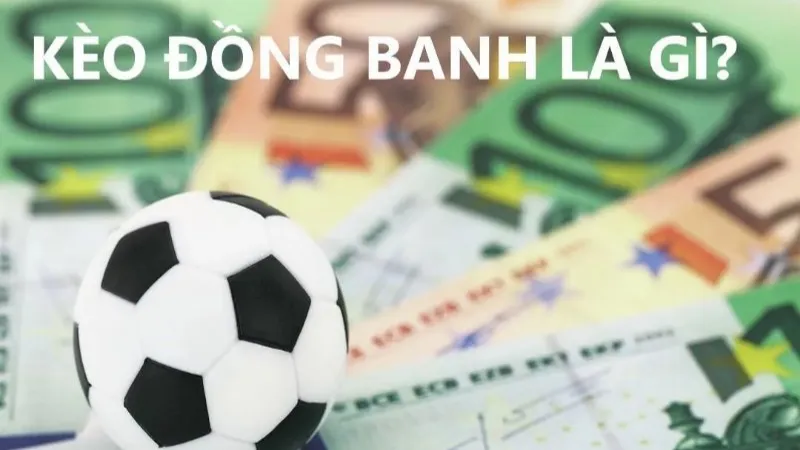 Cách đọc odds, soi kèo và thời điểm vào tiền