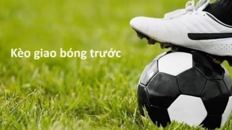 Chiến lược vốn và quản trị rủi ro cho kèo khởi động