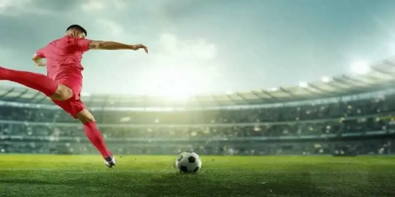 Lý do trang theo dõi rất nhiều giải